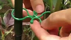 Reusable Garden Plant Support Clips - Secure and Adjustable Plastic Vine Clips for Climbing Plants - Ideal for Tomatoes, Vegetables-Easy Lever Loop Gripper for Outdoor Gardening (100, Figure-8)