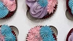 real time cupcake decorating 🤍🧁 love this color combo 🥰 #cupcakes #pipingcupcakes #mixedpiping #fyp | Frisco Sweets