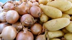 Conservation des pommes de terre et des oignons : la méthode infaillible pour les garder frais !