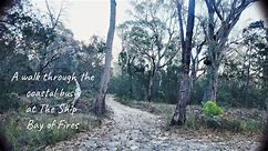 Morning walks on the nature... - The Ship - Bay of Fires