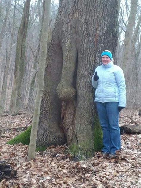 The psychiatrist looked at the police and the police looked at the psychiatrist. Naughty tree ;-) | Tree, Naughty, Tree trunk