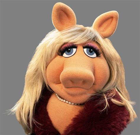 There are many different types of piggy banks to choose from so how do you find the perfect piggy bank? Miss Piggy - This is the face moi makes when the weekend ...