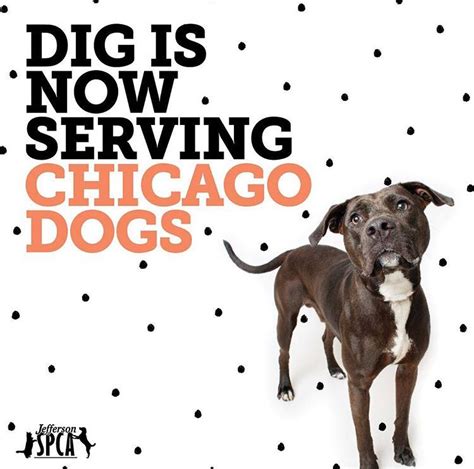 Find someone you really dig! Dig Chicago Launch Tickets, Sat, Jun 23, 2018 at 12:00 PM ...