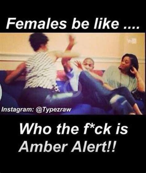 22 entries are tagged with amber alert meme. Amber Alert | Funny quotes, Funny fails, Laughing so hard