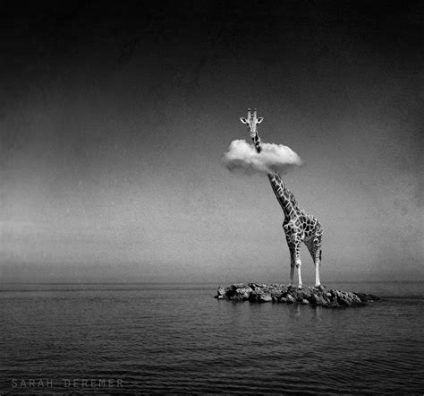 Completo lenzuola tinta unita cotone, na. Dreamlike B&W Photo Manipulations By Sarah DeRemer | DeMilked