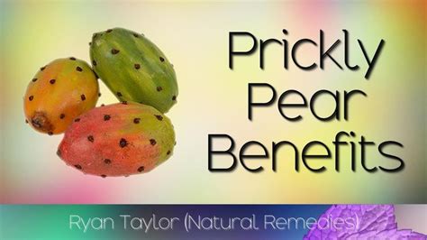Learn more about prickly pear cactus uses, effectiveness, possible side effects, interactions, dosage, user ratings prickly pear cactus is a plant. Prickly Pear: Benefits & Uses (Cactus Fruit) in 2020 ...