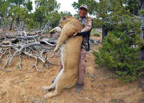 Large in spatial extent or range or scope or quantity. Photos: Shed Hunt Turns into Massive Mountain Lion Harvest ...