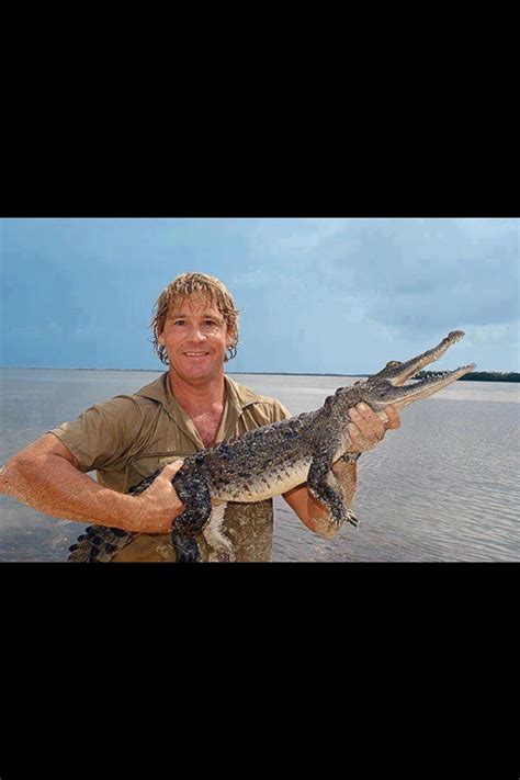 What were the last words of steve irwin? 80 best images about Steve Irwin on Pinterest | Australia ...