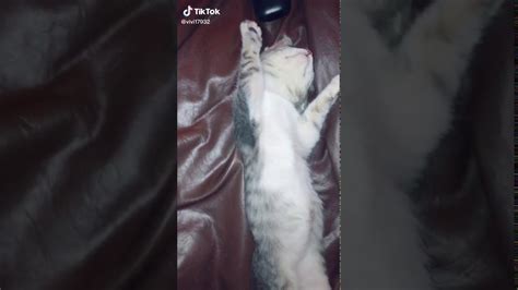 Some cities have parades and cultural performances. 19 de mayo de 2020 - YouTube