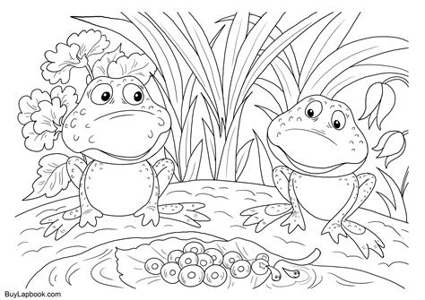 Search through 623,989 free printable colorings at getcolorings. The Life Cycle of a Frog. Free Coloring Pages | BuyLapbook