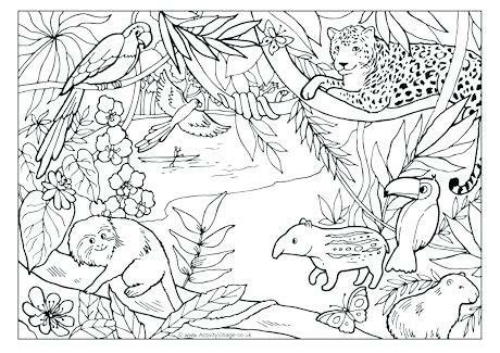 Download and print out a great jungle coloring page or jungle animal coloring page for your child in seconds. Pin van doris s op Blank Coloring Pages | Regenwoud thema ...