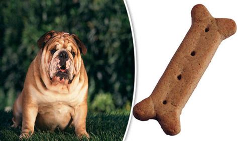 Do this even if you've. Dog treats with worrying levels of sugar putting pets at ...