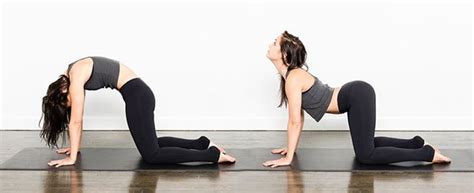 It is almost as ubiquituos as downward dog, or adho mukha swanasana. Marjariasana (Cat Stretch Pose) steps, precautions and ...