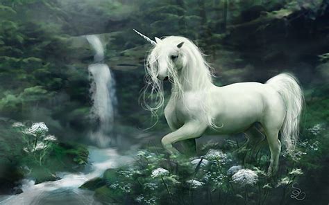 Download the best unicorn hd wallpapers backgrounds for free. Free Unicorn Wallpapers - Wallpaper Cave