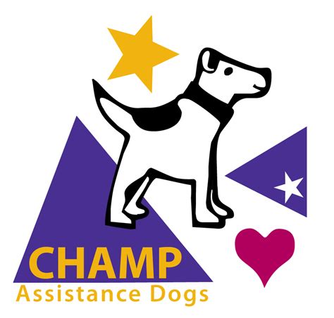 We encourage everyone to apply to as many organizations as possible. Apply for a Service Dog | Assistance dog, Service dogs ...