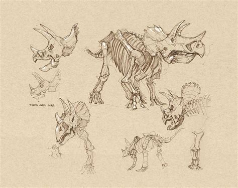 Want to discover art related to dinosaurbone? Dynamic Sketching 1 - CGMA 2D Academy | Animal drawings ...