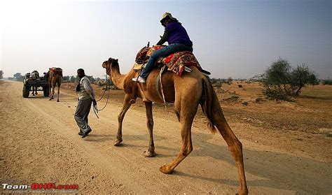 Zoology · 1 decade ago. Another Xmas in the Great Indian Desert: This time Bikaner ...