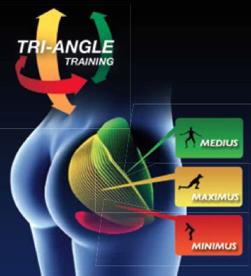 Glute muscle anatomy fitstep glute muscle anatomy shown in the second diagram are the gluteus medius and minimus which lie directly underneath the glute exercises gluteal muscles the gluteal muscles are a group of three muscles which make up the buttocks the gluteus. Coach Arnel's Brazil Butt Lift Challenge | Arnel Banawa