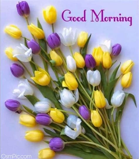 Let a cheery good morning wish start their day with a smile. Good morning flowers | Good morning happy monday, Good ...