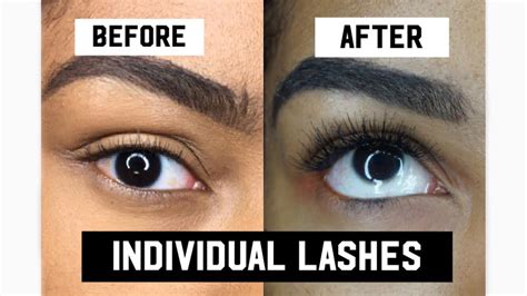 Furthermore, their fur is of high value in the fashion and beauty industry. DIY Individual Lashes (Under Lash Method) - YouTube
