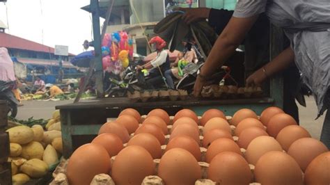 Sebagai konsumen, kita bukan hanya harus ekonomis tapi juga pintar. Referensi Harga Ayam Broiler Hari Ini - what-does-sz3min-think