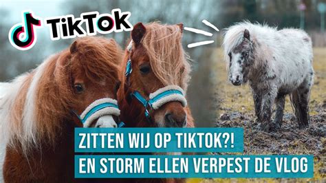 Tornado vlog is a full hd video. PAARDEN WILD DOOR STORM ELLEN?! || Vlog#61 - YouTube