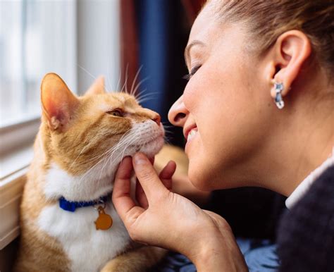 There's never a visit fee, and you'll earn pals rewards with each. See Our Services | Pet clinic, Veterinary services ...