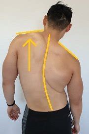 They are somewhat rare, but not too valuable. How to Fix Uneven Shoulders - Posture Direct