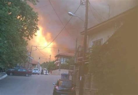 «τώρα που ξημέρωσε η φωτιά στη βαρυμπόμπη έχει περιοριστεί, παντού υπάρχουν αποκαΐδια και στάχτες, είναι φοβερό αυτό που έχει συμβεί εκατοντάδες στρέμματα πευκοδάσους έχουν καεί. Ο Χαλκίδος Χρυσόστομος στις πυρόπληκτες περιοχές στην ...