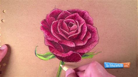 If you want an area of a drawing to appear white or bright. How to Draw a Rose with Colored Pencils. How to Draw a ...