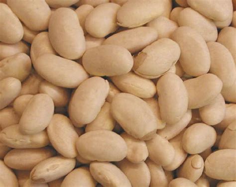 The bean is commonly added to soups and stews because they hold their shape better. Great Northern Beans - Ingredients Descriptions and Photos ...