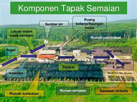 An administration office of nursery unit known as tapak semaian mantin located in the outskirt of seremban district which consists of 17 respondents was selected in this study. Tapak semaian 120 minutes