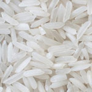 Supplier of 1121 basmati rice, indian basmati rice, 1509 basmati rice, basmati rice from india. Non Basmati Rice in Chennai - Manufacturers and Suppliers ...