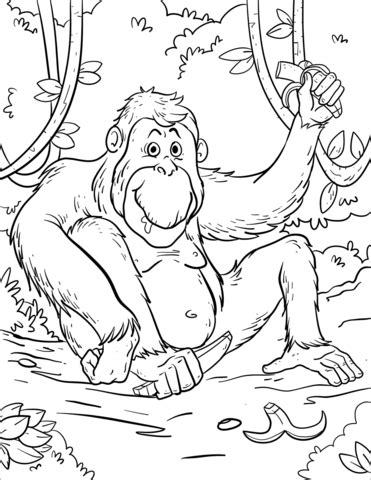 Orangutan coloring pages baby orangutan mammals coloring pages for. Розмальовка Мультяшний орангутанг | Розмальовки для дітей ...