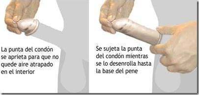 Este tipo de plantas se caracterizan por ser espinosas y suculentas debido a su elevada carga de agua. Medianoche Tropical: Cómo usar el condón o preservativo