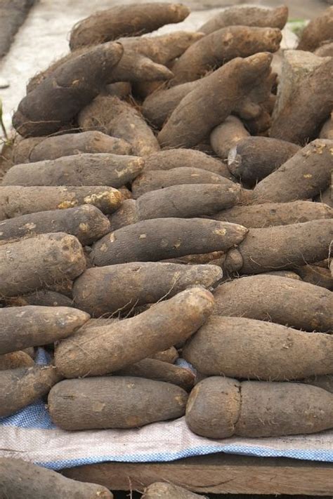 This is great for people that. Health facts of yam flour - Laba Foods