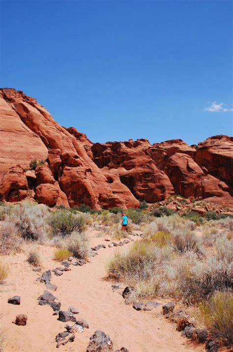 Morera's favourite cacti are the ones that have grown with their owner. Hiking to Jenny's Canyon - Snow Canyon State Park - St ...