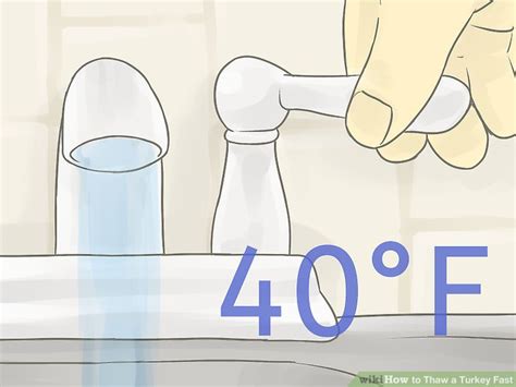 Mar 03, 2019 · the quickest way to thaw a turkey breast. 3 Ways to Thaw a Turkey Fast - wikiHow