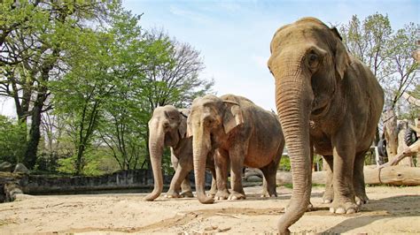 28 einzigartig garten outlet 24 luxus familiengarten. Zoo Karlsruhe - der Zoologische Stadtgarten - meinKA