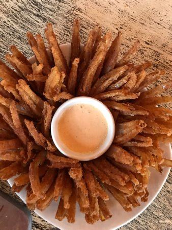 Gluten free options at outback steakhouse in rapid city with reviews from the gluten free community. Outback Steakhouse, Fort Myers - 12995 S Cleveland Ave ...