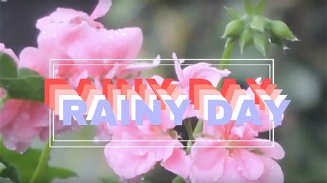 By jeannette catsoulis this haunting documentary by jessica earnshaw traces the journey of a young. "April Showers Brings May Flowers" - YouTube