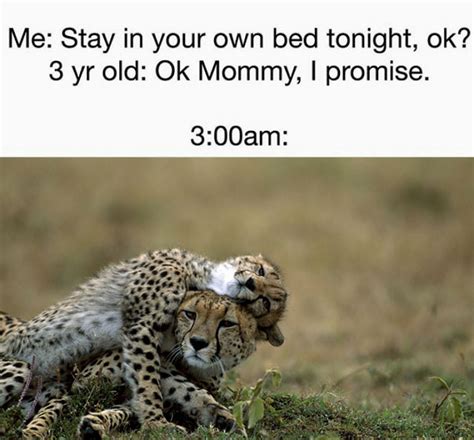 Our Complete List Of 20 Funniest Parenting Memes