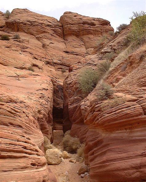 One of the things that has been on my utah bucket list for years is the buckskin gulch hike: At Buckskin Gulch... the hike starts through Wire Pass, then a wash, and this is where the ...