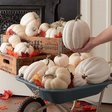 If you purchase this item, you will receive 15 pumpkin seeds to grow your own miniature white pumpkins. Bulk Case of 28 Assorted Harvest White Artificial Pumpkins ...