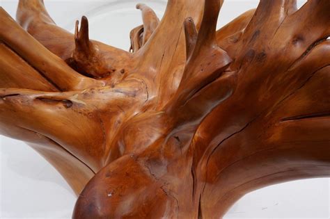 Handcrafted teak wood coffee table with glass top. Mid-Century Teak Tree Root Coffee Table with Beveled Glass Top for sale at Pamono