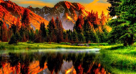 Check spelling or type a new query. Cool Desktop Backgrounds: 40 Cool Wallpapers To Download