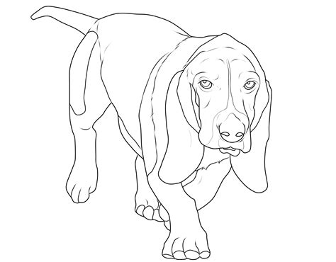 Revival of one of most loved coins. Coloriage à imprimer : le chien beagle