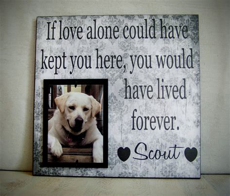 Keep a memorial frame and box. Pet Picture Frame Gift Pet Memorial Gift Dog Memorial Frame