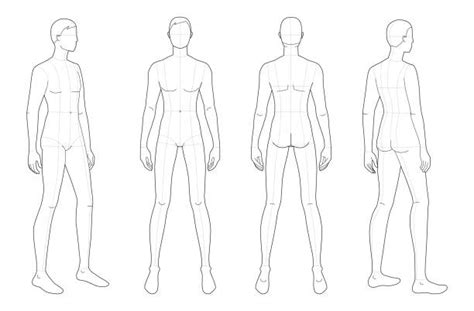 Are you searching for human body png images or vector? The Human Body Outline Anatomy Front View Illustrations, Royalty-Free Vector Graphics & Clip Art ...