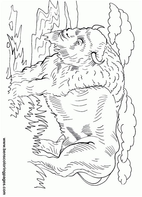 Have new images for american bison coloring page free buffalo and bison coloring pages? Free Bison Coloring Pages, Download Free Clip Art, Free ...